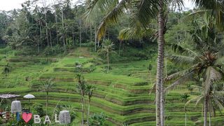 そんな混んでなかった