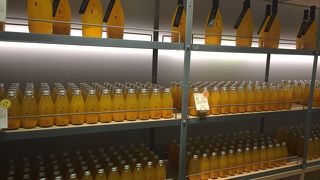 柑橘類の専門店