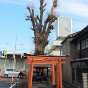 駐車場の端に窮屈に