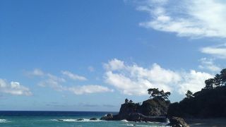 高知といえば！