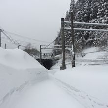 どこがホームだかよく分かりません。