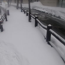 踏み跡なく完全に雪没している冬の遊歩道（一部区間）の様子