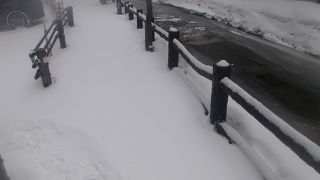 川沿いの歩道の踏み跡が・・・。