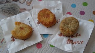 こじんまりとした道の駅（道の駅おうむ）