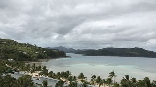 亀に会えるかも