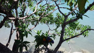 歩いて回れる距離