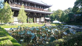 京都の紅葉名所で見逃せないところです