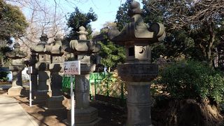 たくさん並んでいます。