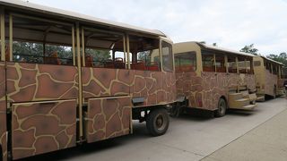 Werribee Open Range Zoo