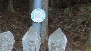 秘境の雰囲気漂う