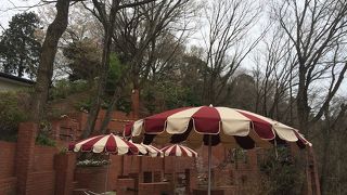 ノスタルジックな世界