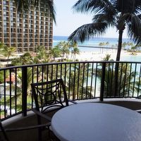 食べ物を並べだすと鳥がつまみに来る。