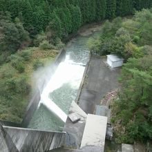 ダム堤体上から下流側を望む