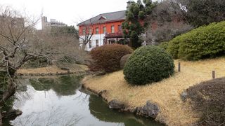 小石川植物園は「赤ひげ」で有名な小石川療養所跡