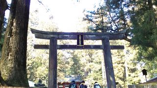 大きな鳥居です