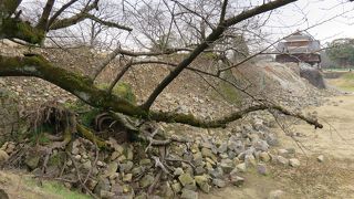 震災後の熊本城を直視する