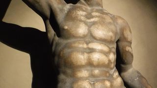 【要注意】本当に入ったとは思われないニセクチコミがほとんどです。2017年2月　ドォーモの像を間近で見ることができました。