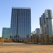 広々とした芝生の公園