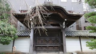 御影堂の北側に