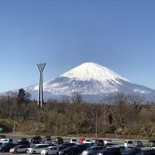 富士山がきれいに見えました。