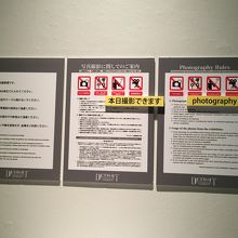 この展覧会は月、火曜日限定で写真撮影OK