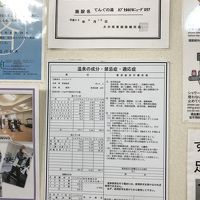 てんぐの湯:温泉分析書