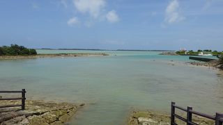 泳ぐ海ではなく干潟です