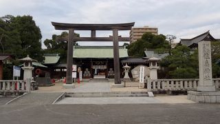 見どころ多い神社
