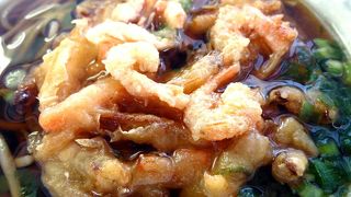 春の三島の散歩道　桃中軒 三島在来線上りホーム店の昼食