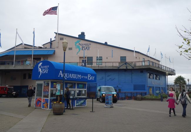 アクセスが良い水族館