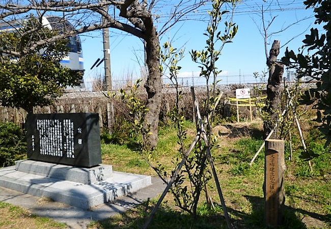 「蜜柑」の文学碑(直ぐ脇に横須賀線の公園)