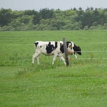牧場が隣接