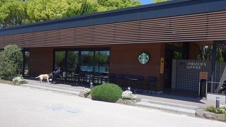 気持ち良いスタバ