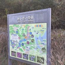 アジサイ谷の道しるべ