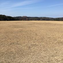 大きな芝生広場
