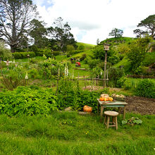 野菜畑もセットの一つ