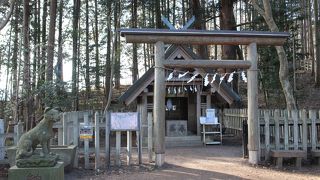 狛犬がオオカミとして有名？