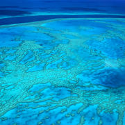 まさに“偉大なるサンゴ礁”！！まるで宇宙から地球を眺めているよう・・・