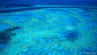 まさに“偉大なるサンゴ礁”！！まるで宇宙から地球を眺めているよう・・・