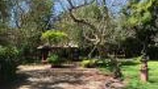 ラ タベルナ バリ 