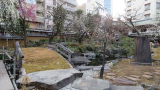 湯島天神の梅まつり