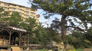 冬の海水浴場は寂しいです