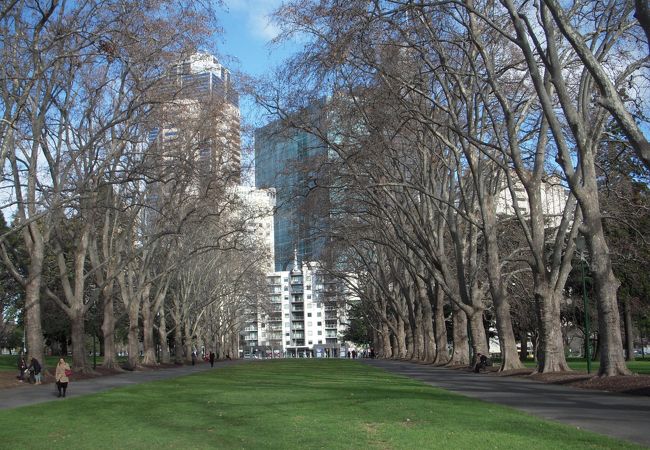 王立展示館とカールトン庭園 クチコミ アクセス 営業時間 メルボルン フォートラベル