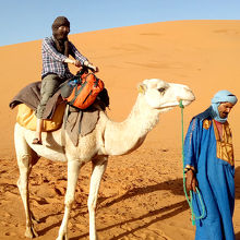 ベルベル人のラクダ使いに引かれて