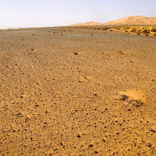 ブラックデザート