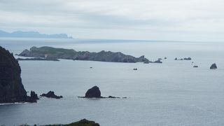 展望台からクジラ