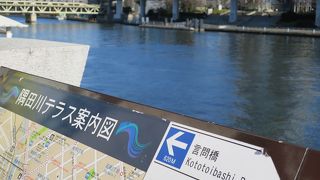 散歩でもジョギングでも