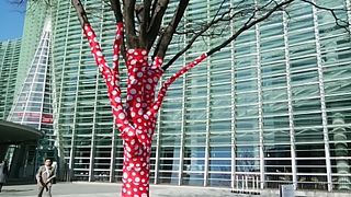 外観が素晴らしい