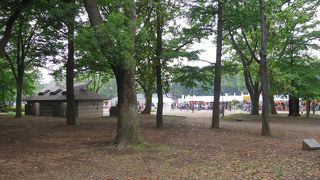 広くて、いろいろあります