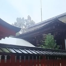 本殿は三間社流れ造りになっています